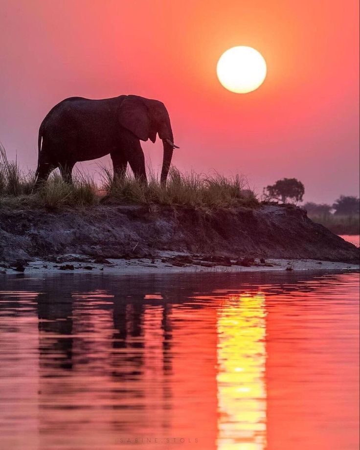 9-Day Safari and Zanzibar Combined